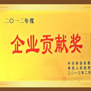 企業貢獻獎（jiǎng）