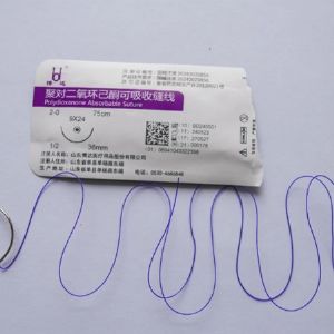 聚對（duì）二氧環已酮（tóng）可吸收縫線